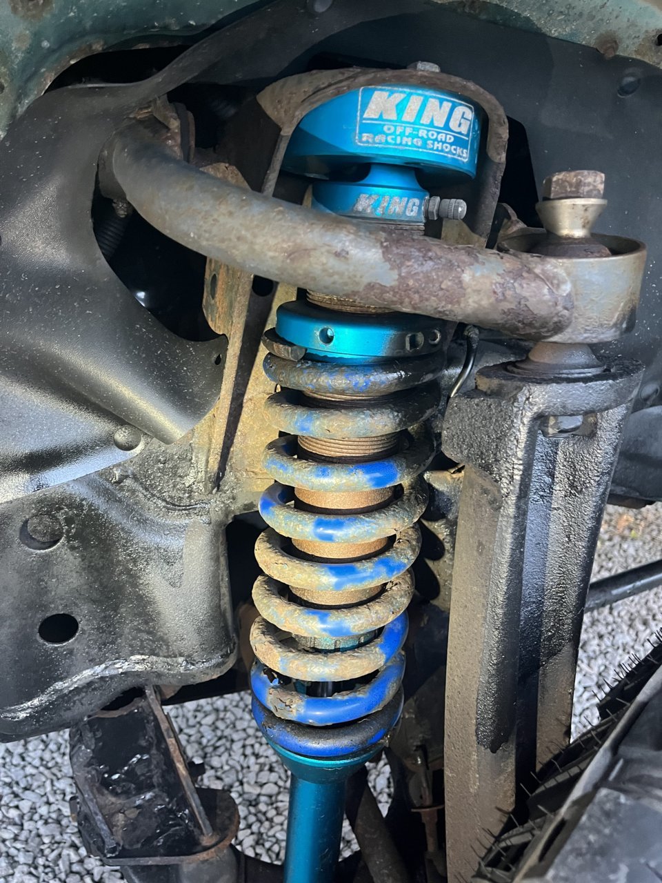 Rebuilding king shocks World