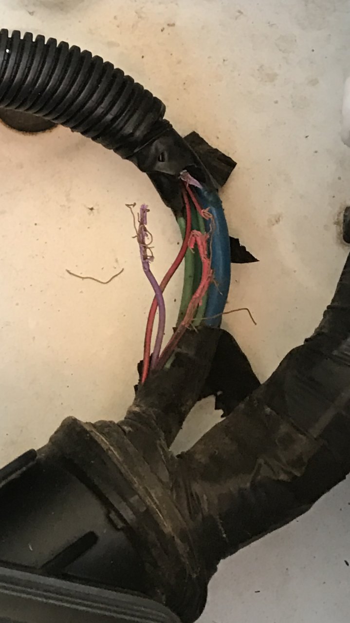 Chewed Up On Wires What Are They For? World