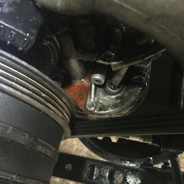 Coolant Leak Water Pump? World