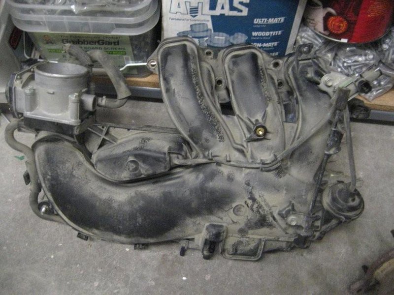 2006 Tacoma V6 Engine for Sale Vancouver, BC | Tacoma World