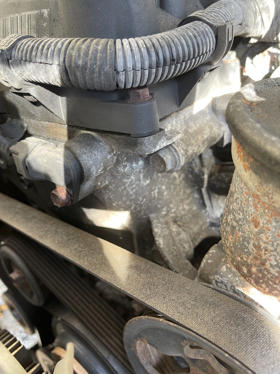 White smoke coming from engine bay, help plz! | Tacoma World