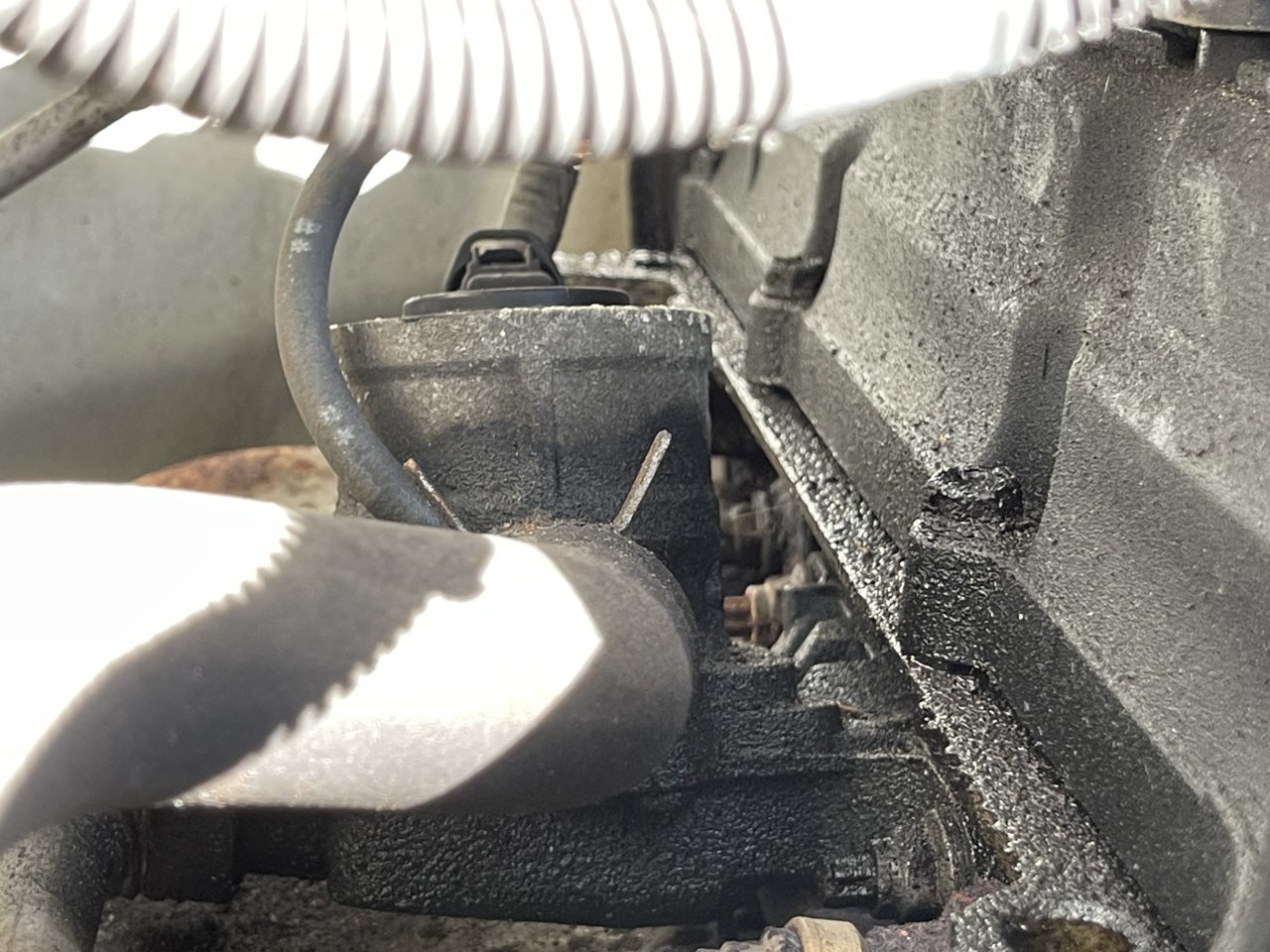 White smoke coming from engine bay, help plz! | Tacoma World