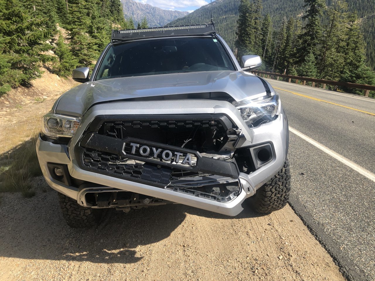 Hit Deer, Lots of Damage | Tacoma World