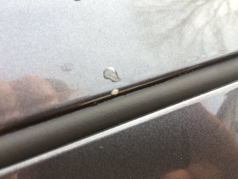 Multiple paint chips! Repair options? World