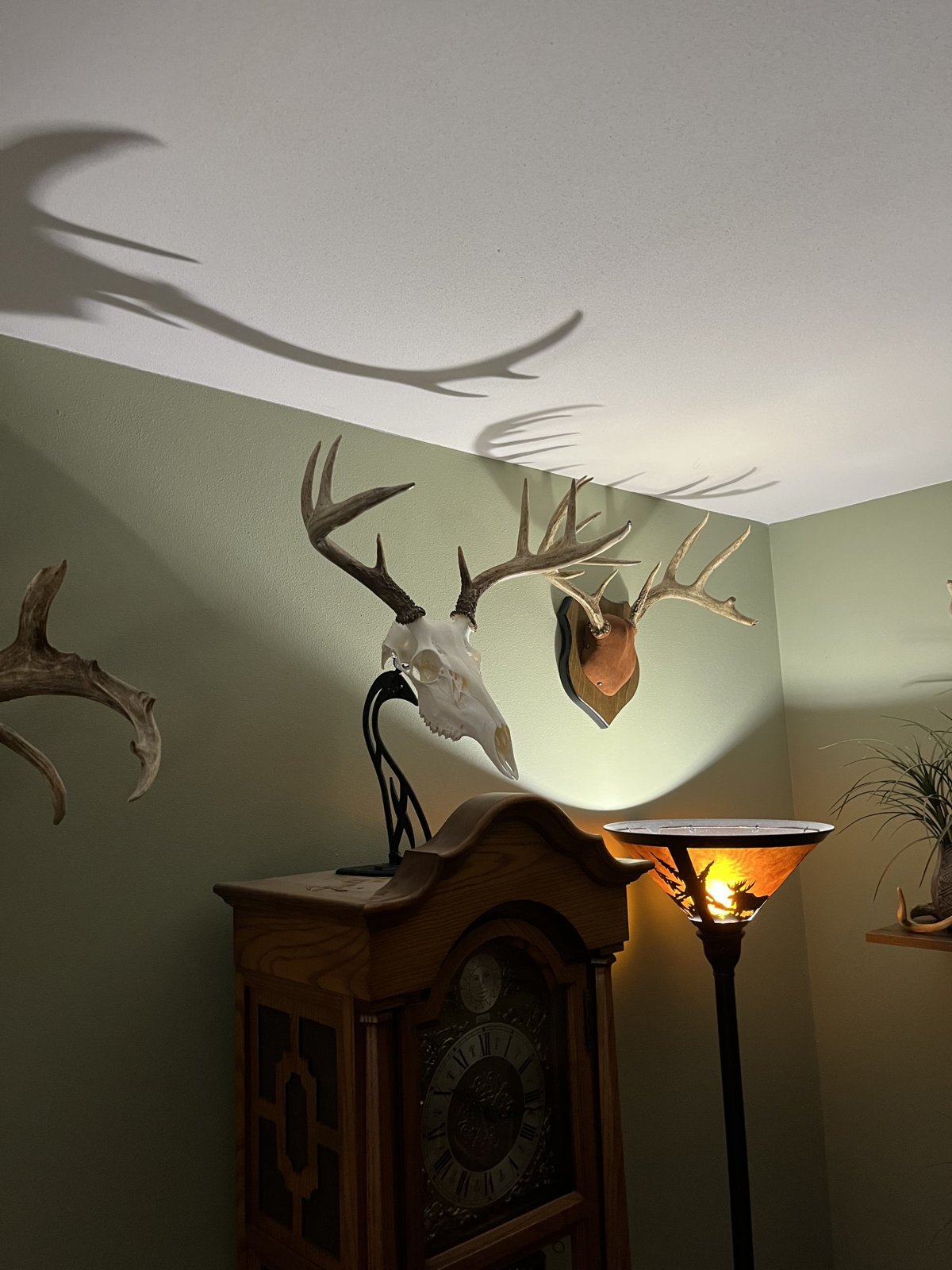 Archery Talk Page 572 World