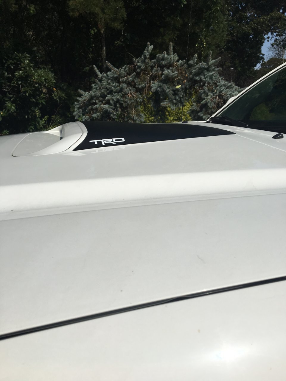 2Nd Gen Hood Scoop Decal 2nd Gen Anti Glare Hood Scoop Decal