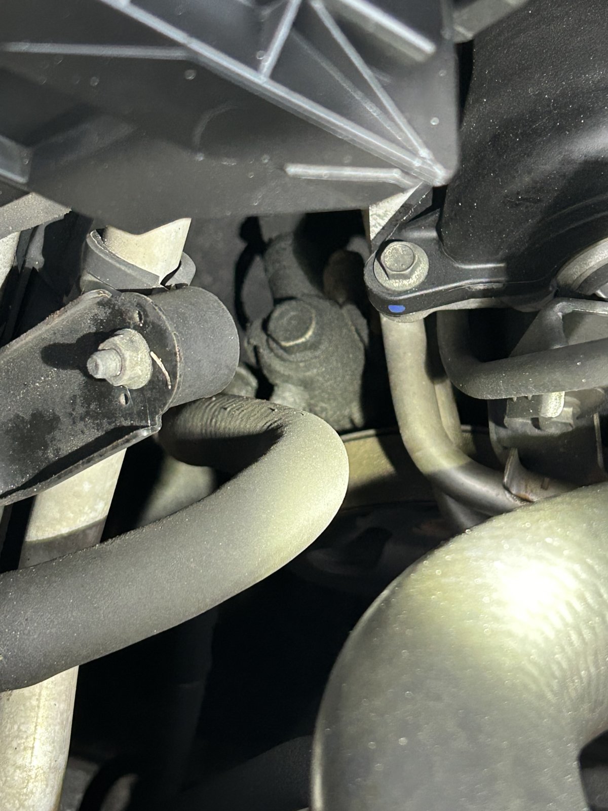 Possible Timing Cover Oil Leak World
