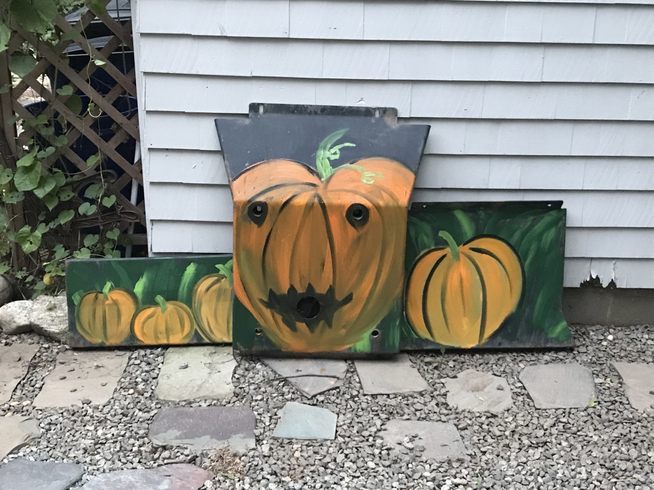 Paint my skid plate black or grey? World