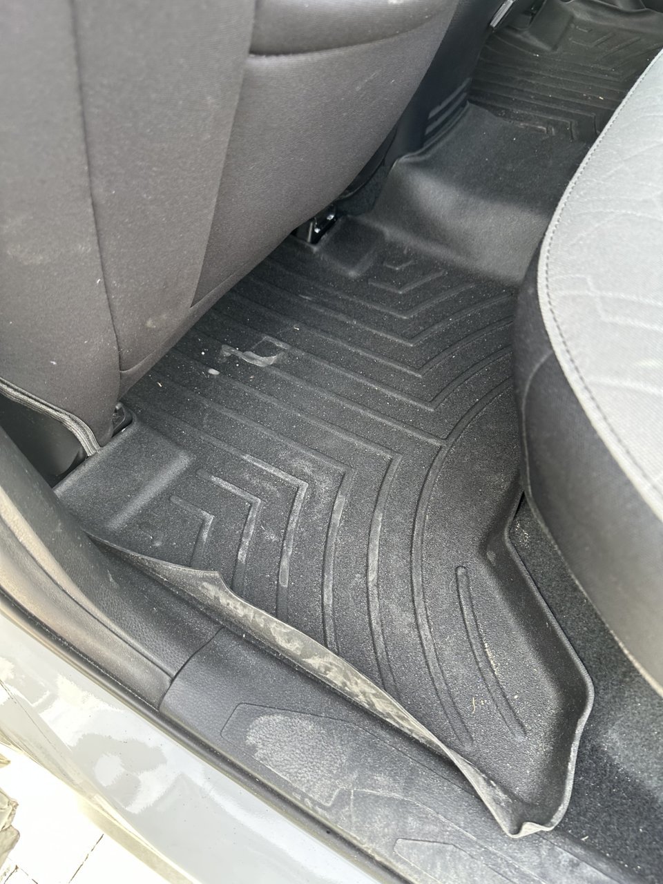 Wet Rear Carpet World