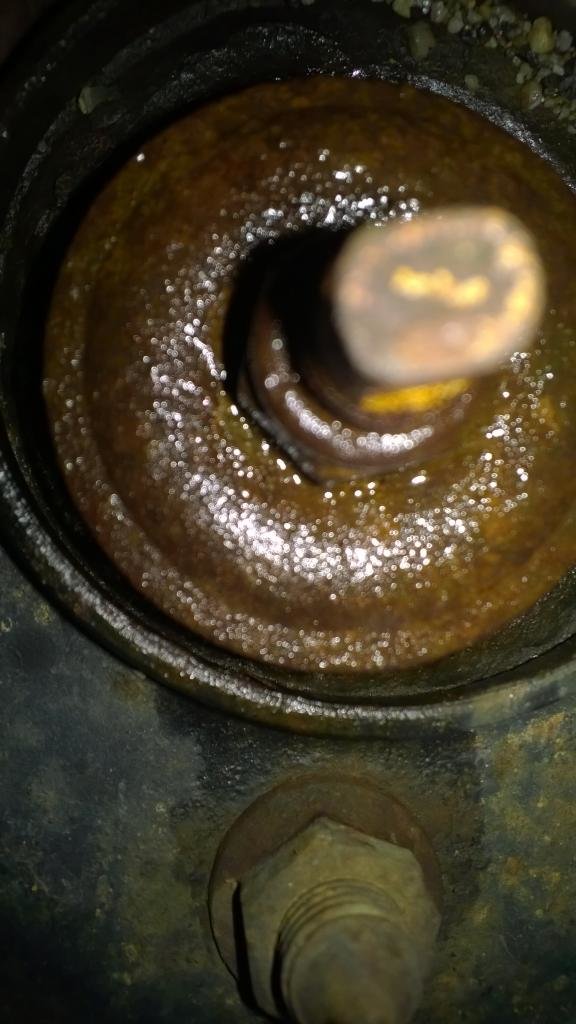 Strut mount squeaking... why? World