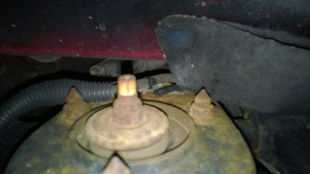Strut mount squeaking... why? World
