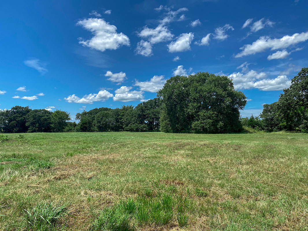 Owner Financed Land for Sale in Kerens, TX