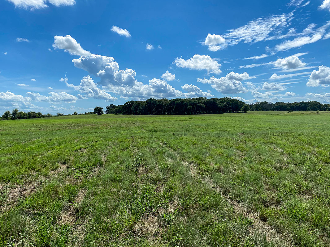 Land for Sale in Kerens TX Buy Your Dream Property