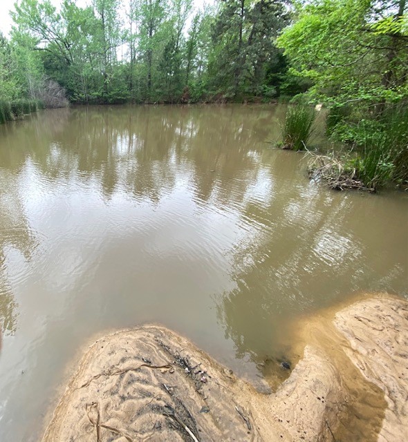 Owner Financed Land for Sale Grapeland, TX