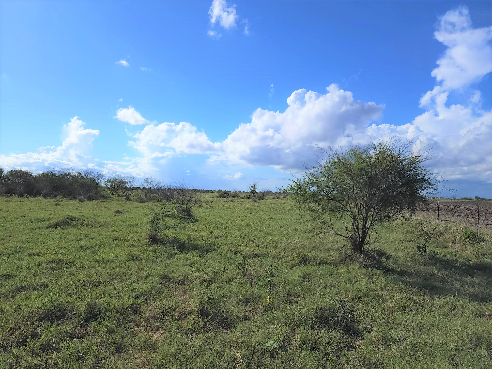 Land for Sale Port Lavaca TX Find the Perfect Property