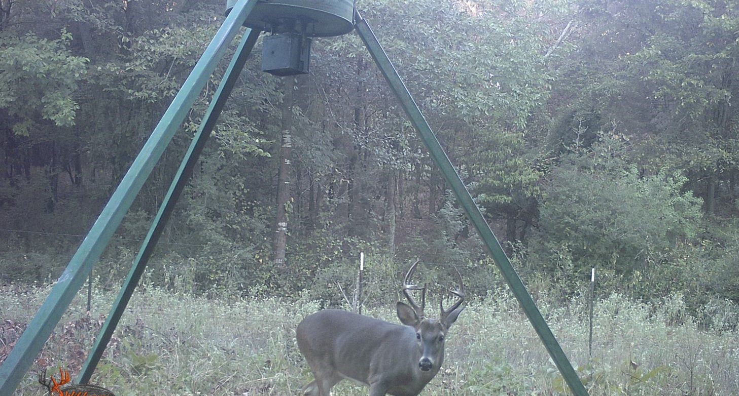 Land for Sale Palestine TX Flexible Financing Available