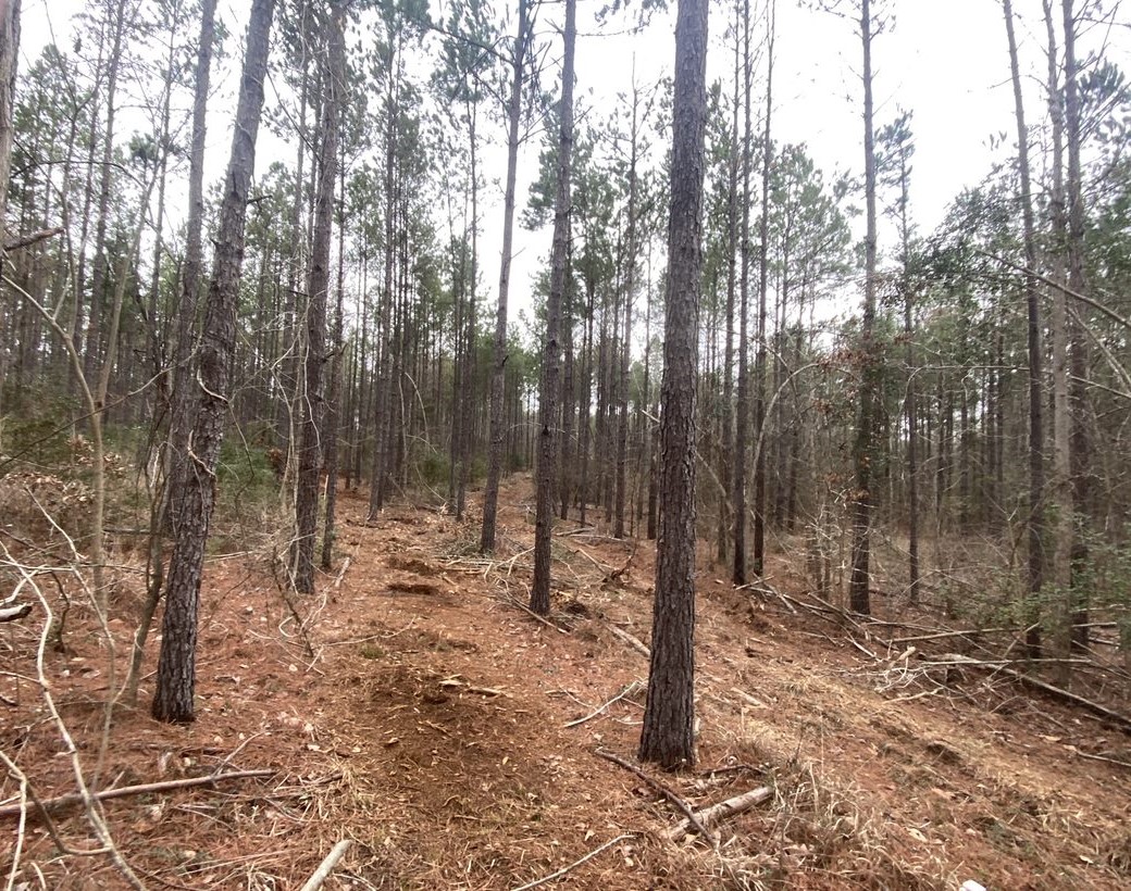 Land for Sale Palestine TX Flexible Financing Available