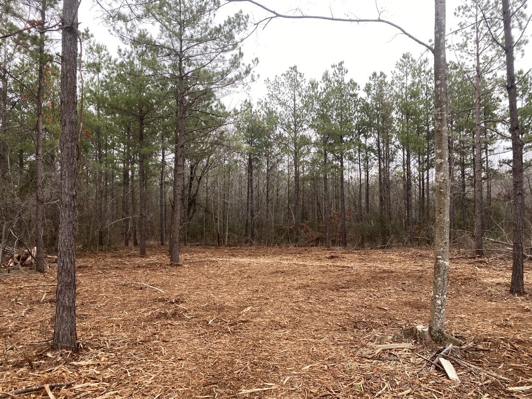 Land for Sale Palestine TX Flexible Financing Available