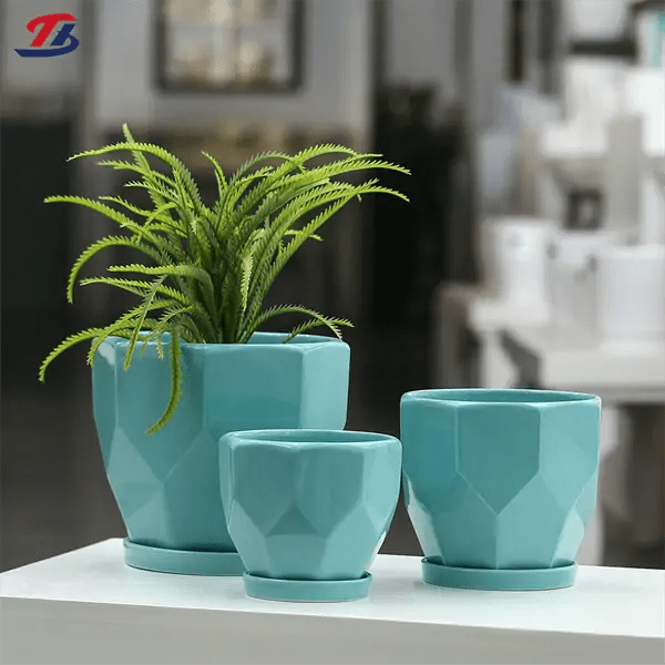 Indoor Ceramic Plant Pots A Premium Collection for Wholesale
