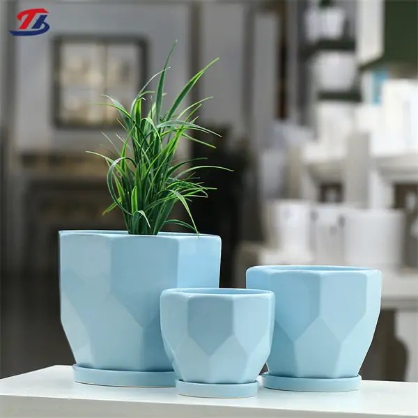 Indoor Ceramic Plant Pots A Premium Collection for Wholesale