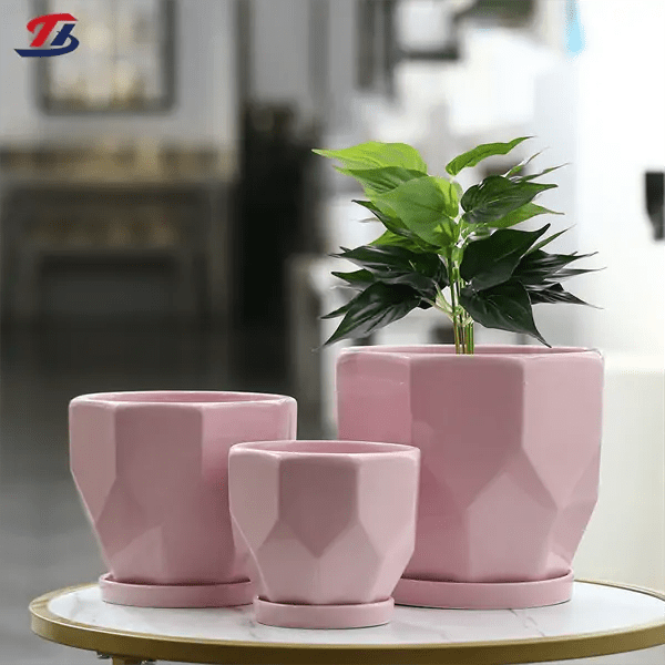 Indoor Ceramic Plant Pots A Premium Collection for Wholesale