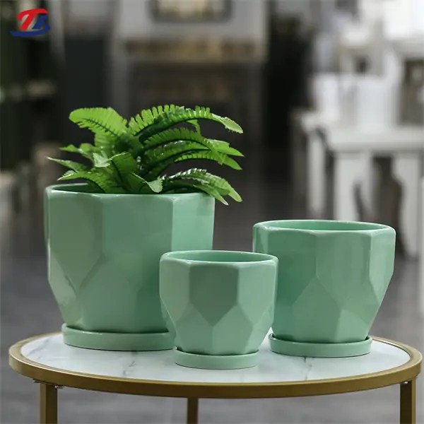 Indoor Ceramic Plant Pots A Premium Collection for Wholesale