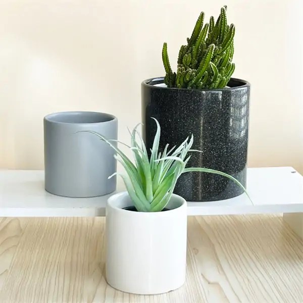 Customizable Color for Personalized Mini Ceramic Flower Pot Wholesale