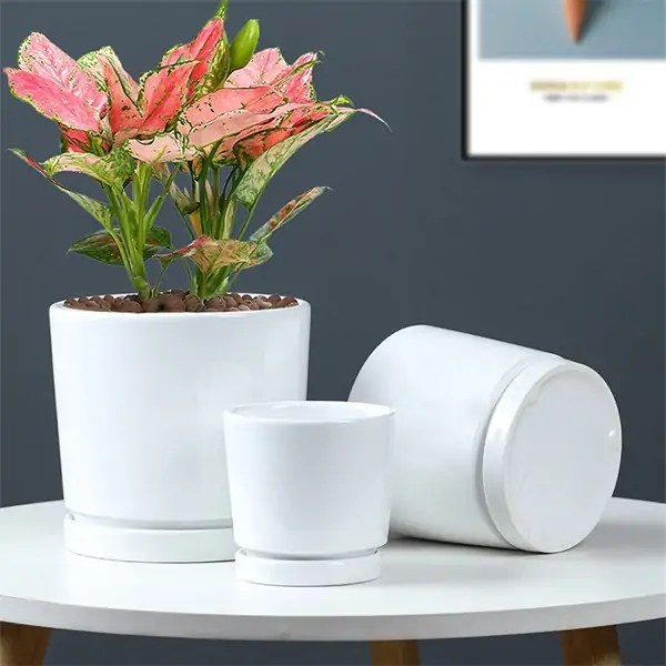 Pots en céramique émaillée blanche avec plateau Grossiste pots de