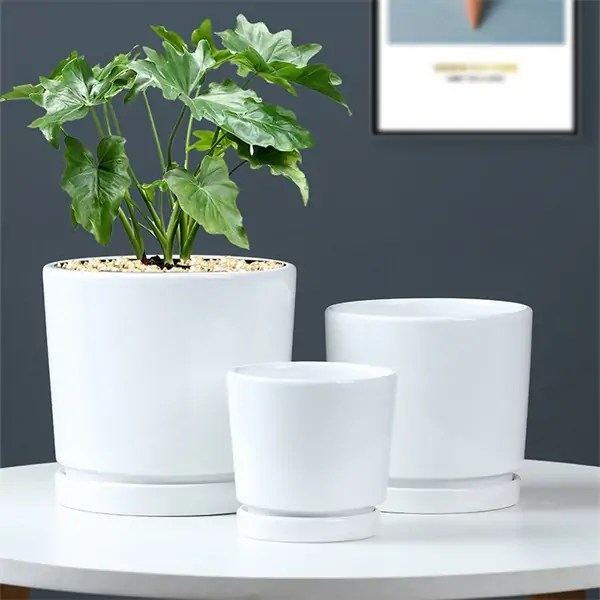 Pots en céramique émaillée blanche avec plateau Grossiste pots de