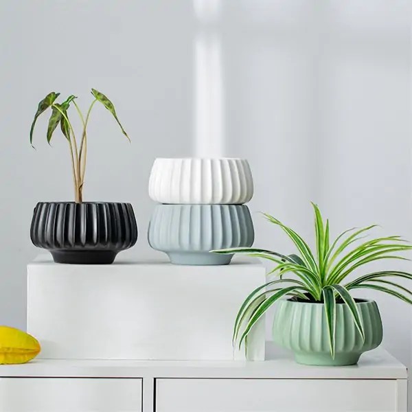Wholesale Ceramic Plant Containers Supplier TX Ceramics