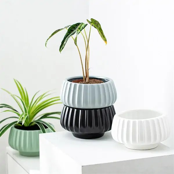 Wholesale Ceramic Plant Containers Supplier TX Ceramics