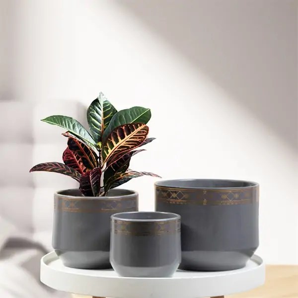 6Inch Gray Ceramic Plant Pots Bulk Wholesale Wholesale flower pots & Planters for a Unique