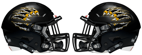 Snyder Tigers Dave Campbell's Texas Football
