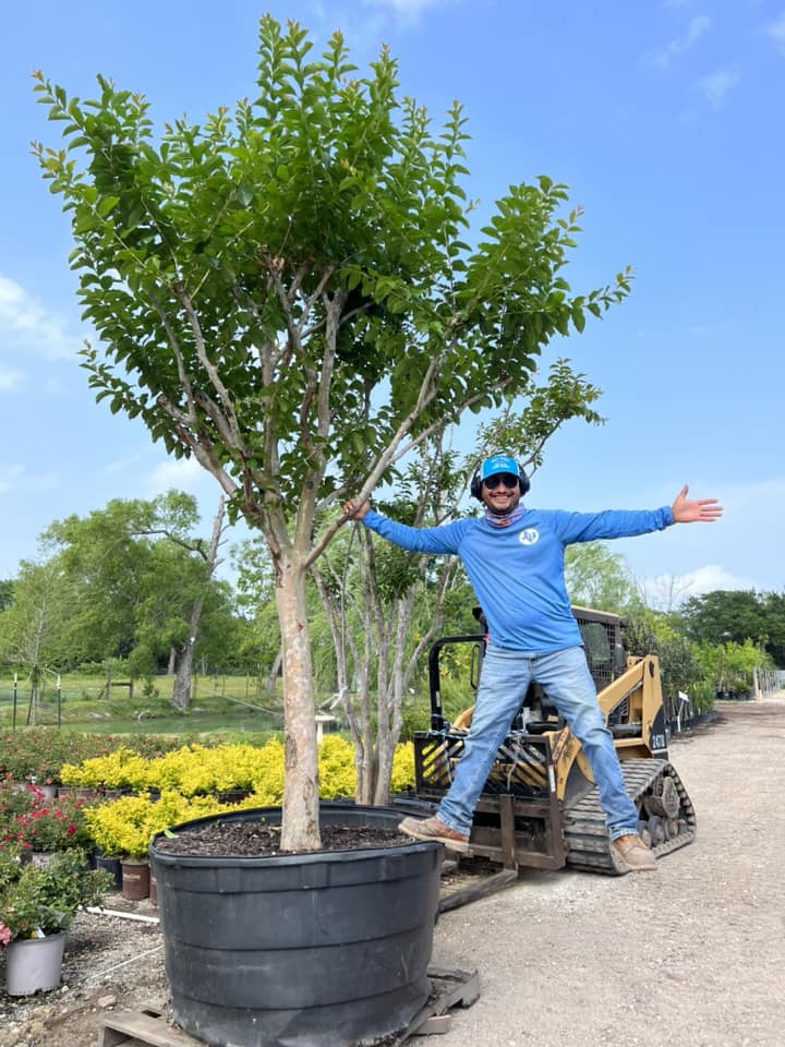 Hidden Gardens by Texas Groundskeepers Landscaping Nursery