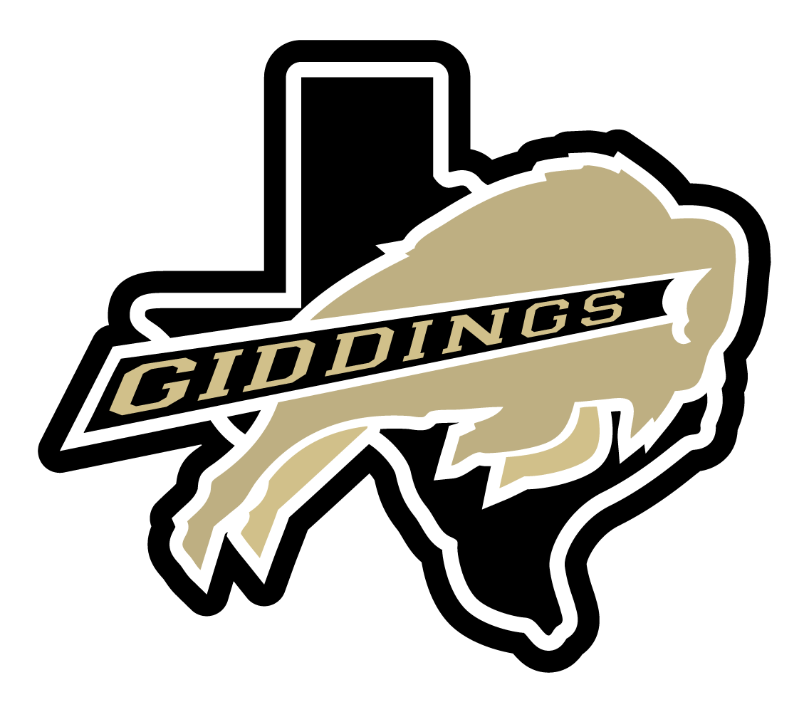 224A Texas Highschool Baseball