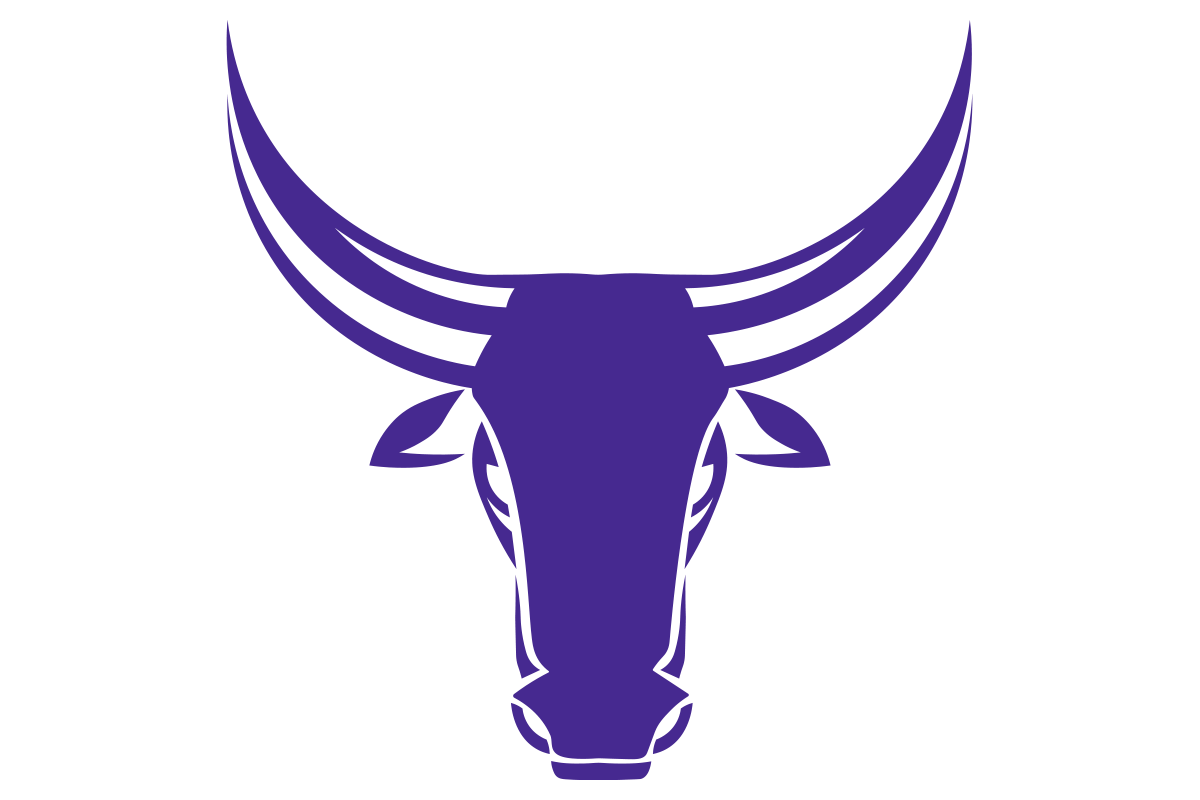 Katy Morton Ranch Mavericks Texas HS Logo Project
