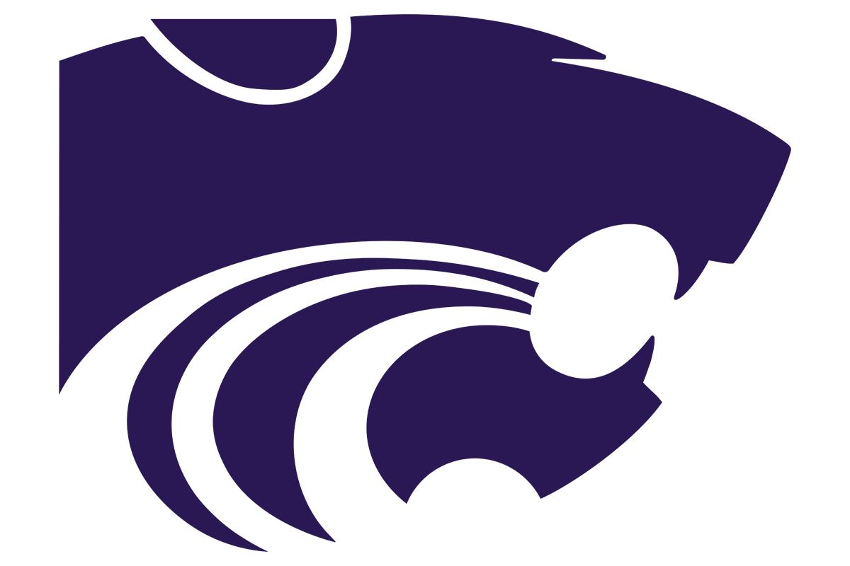 Texas High School Logo Project