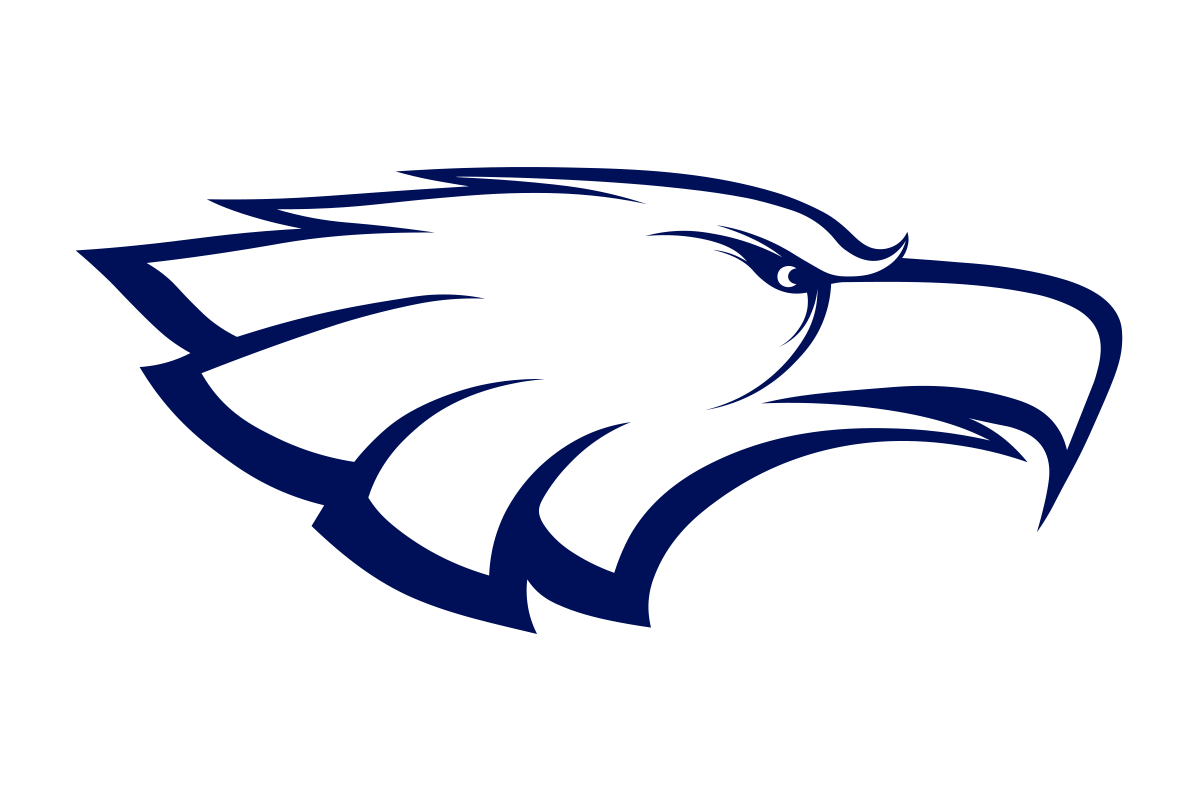 Allen Eagles Texas HS Logo Project