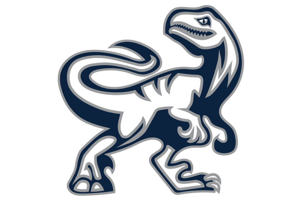 TXHSLogos Madness Texas HS Logo Project