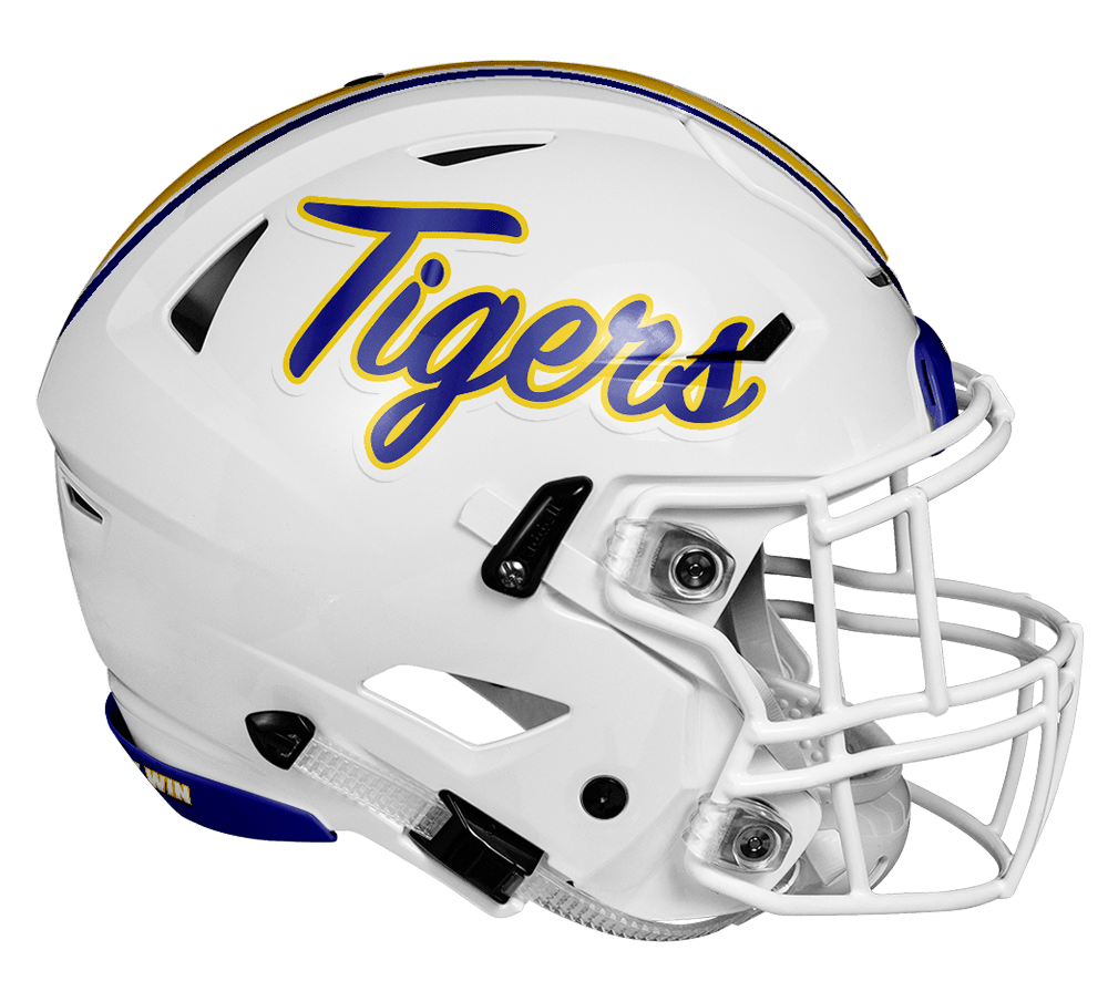 Leonard Texas HS Logo Project