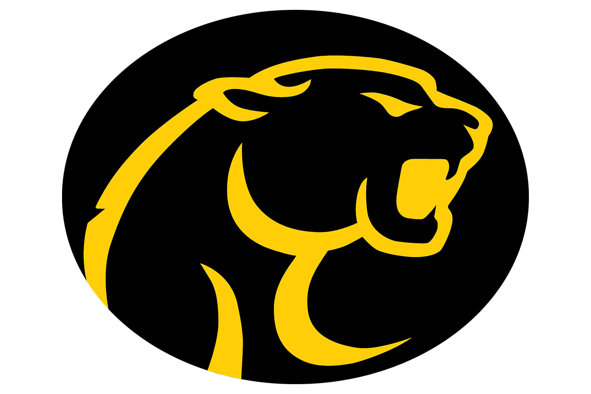 RosebudLott Cougars Texas HS Logo Project