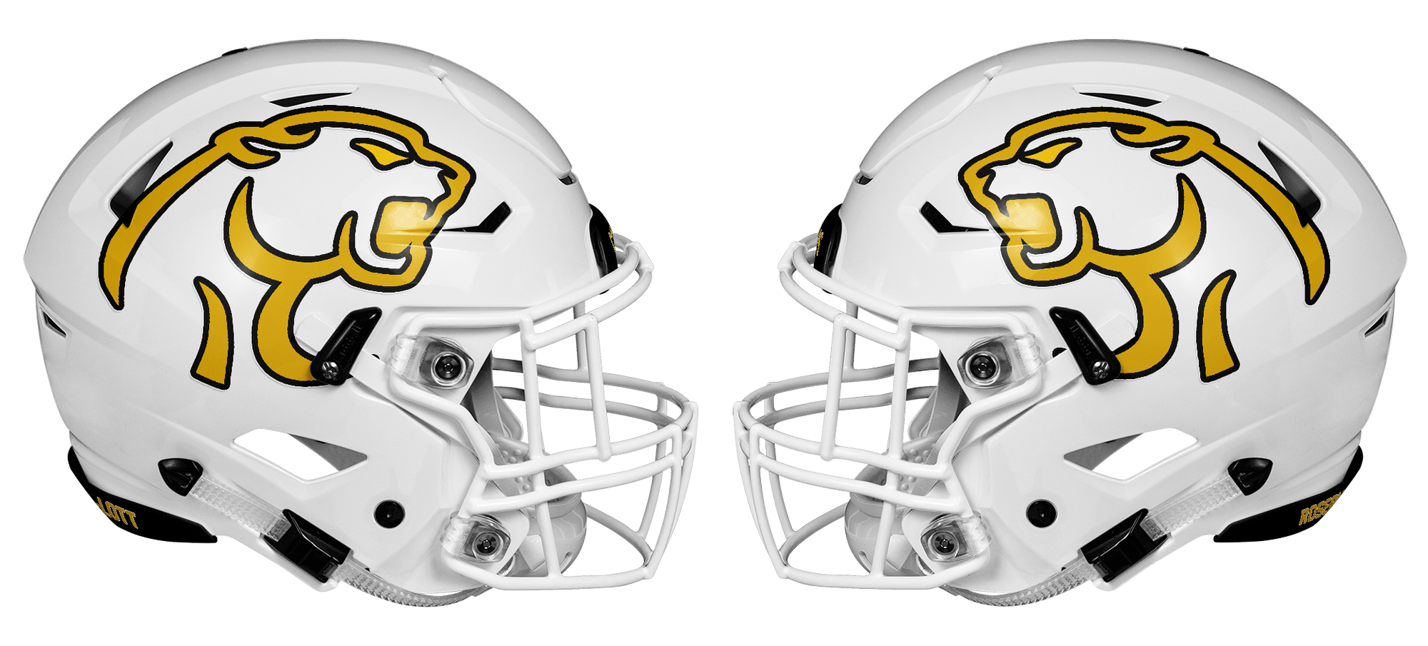 RosebudLott Texas HS Logo Project