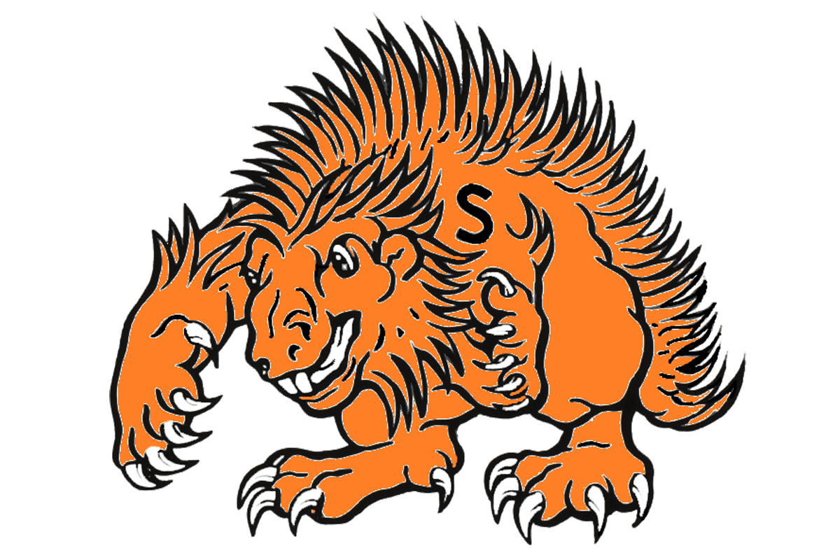 Springtown Porcupines Texas HS Logo Project