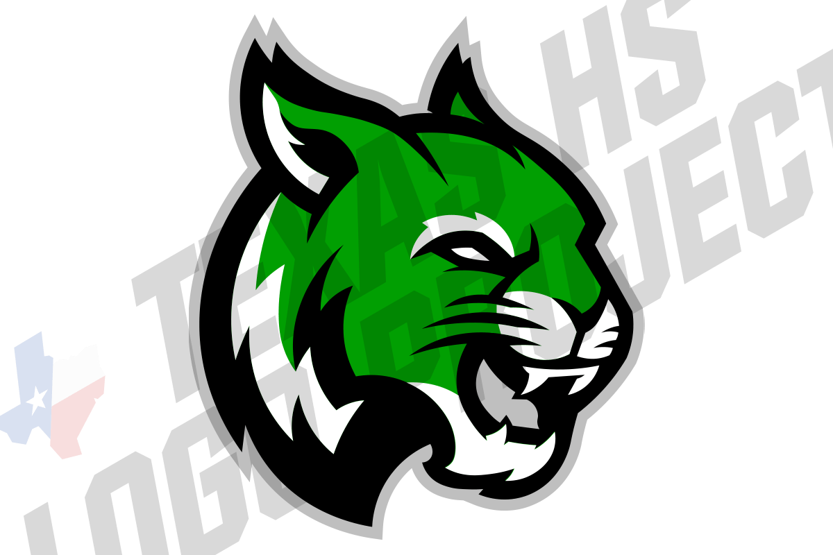 QUICK FIX Newcastle Texas HS Logo Project