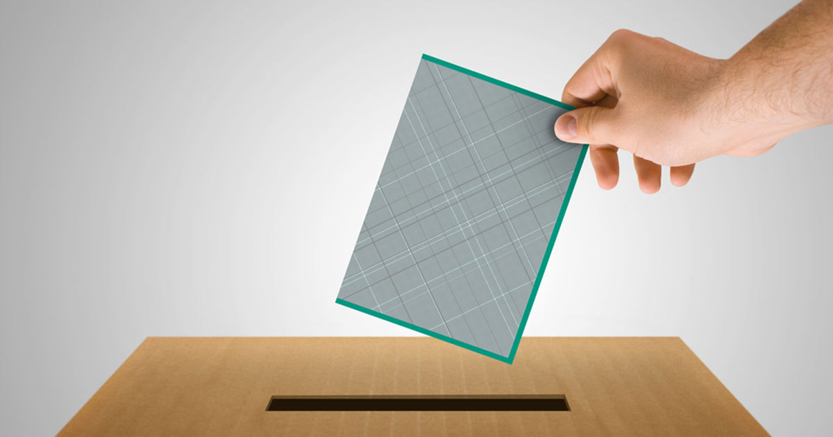 Bowie and Miller County Election Results Texarkana Today