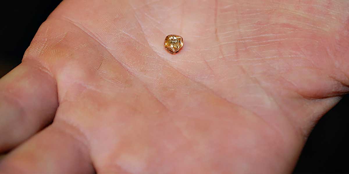 1.73carat diamond found at Crater of Diamonds State Park Texarkana Today