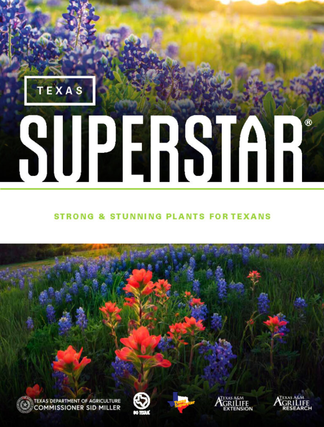 Native and Adapted Plants Rockwall County Master Gardeners