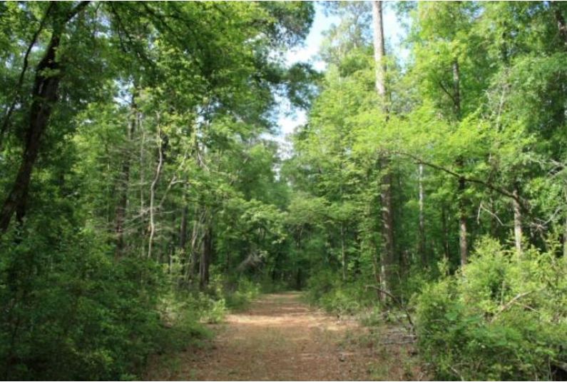 Big Sandy Trail Hike