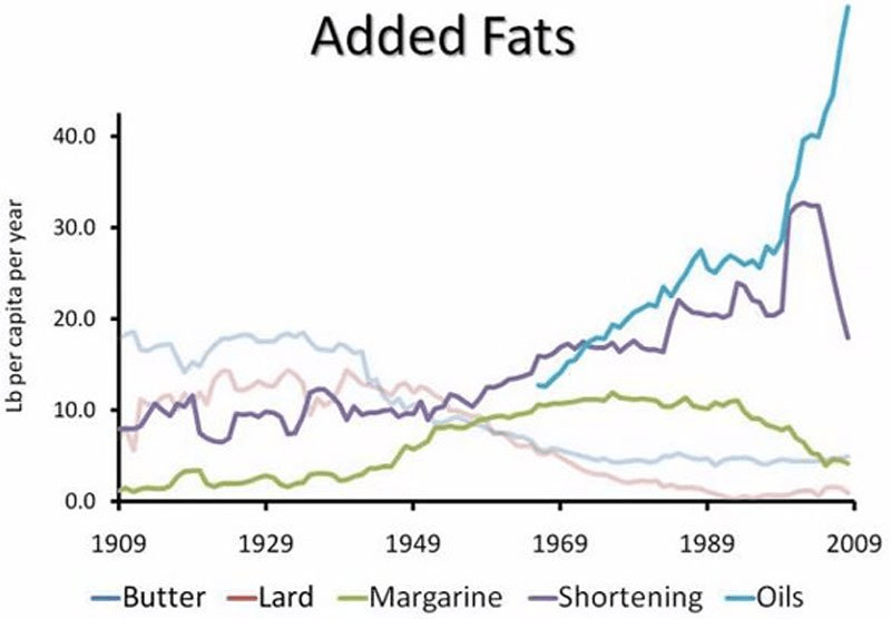 Obesity Driver People Are Eating More Vegetable Oils, Mostly From Processed Foods A holistic