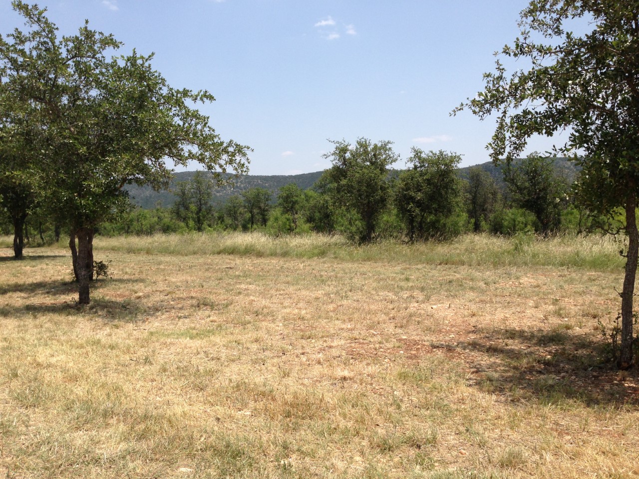 FRIO RIVER LOTS » Texas Owner Finance Ranches 5 DOWN
